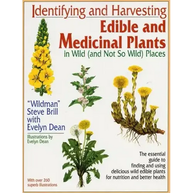 Identifying and Harvesting Edible and Medicinal Plants
