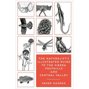 The Naturalist's Illustrated Guide to the Sierra Foothills and Central Valley