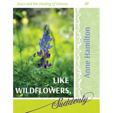 Like Wildflowers, Suddenly: Jesus and the Healing of History 01