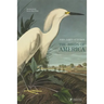The Birds of America