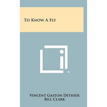 To Know A Fly