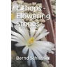 Lithops - Flowering Stones
