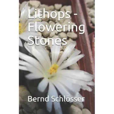 Lithops - Flowering Stones