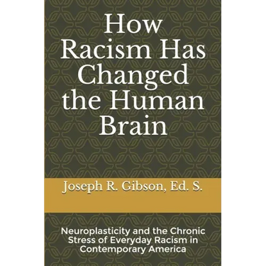 How Racism Has Changed the Human Brain: Neuroplasticity and the Chronic Stress of Everyday Racism in Contemporary America