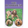 The Bloodhound: A Complete and Comprehensive Beginners Guide To: Buying, Owning, Health, Grooming, Training, Obedience, Understanding