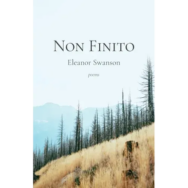 Non Finito
