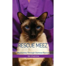 Rescue Meez: My Journey Through Siamese Rescue