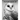 Picture Book of Owls: The Picture Book for Alzheimer's Patients and Seniors with Dementia.
