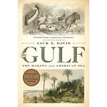 The Gulf: The Making of an American Sea