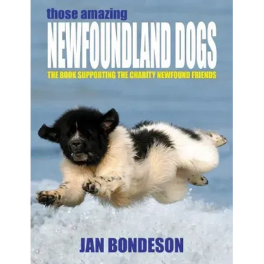 Those Amazing Newfoundland Dogs