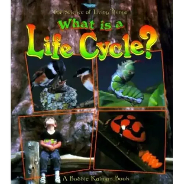What Is a Life Cycle?