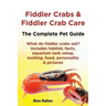 Fiddler Crabs & Fiddler Crab Care. Complete Pet Guide. What Do Fiddler Crabs Eat? Includes Habitat, Facts, Aquarium Tank Setup, Molting, Food, Persona