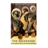 The Dachshund: A vet's guide on how to care for your Dachshund