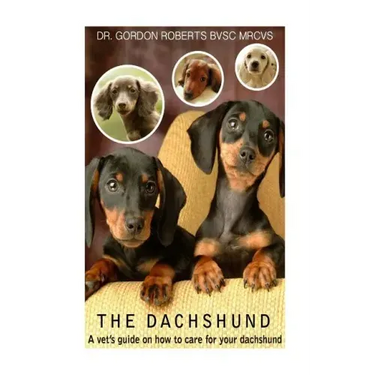 The Dachshund: A vet's guide on how to care for your Dachshund