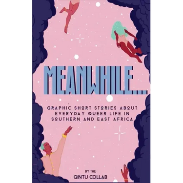 Meanwhile...: Graphic Short Stories about everyday Queer life in Southern and Eastern Africa