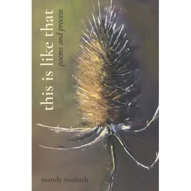 This Is Like That: Poems and Process