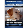 Labrador Retriever Training Dog Training with the No BRAINER Dog TRAINER We Make it THAT Easy!: How To EASILY TRAIN Your Labrador Retriever
