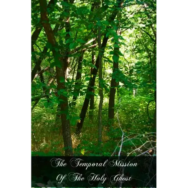 The Temporal Mission Of The Holy Ghost: Reason And Revelation