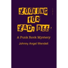 Looking For Lady Dee: A Punk Rock Mystery
