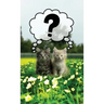 Discrete Password Logbook: "Kitty Cats" Edition