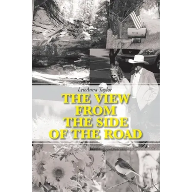 The View from the Side of the Road