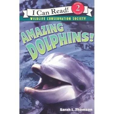 Amazing Dolphins!