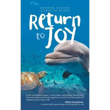 Return to Joy