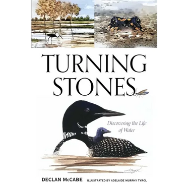Turning Stones: Discovering the Life of Water