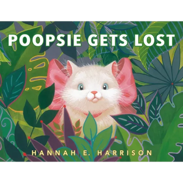 Poopsie Gets Lost