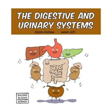 The Digestive and Urinary Systems