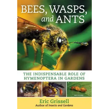 Bees, Wasps, and Ants: The Indispensable Role of Hymenoptera in Gardens