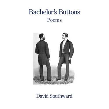 Bachelor's Buttons