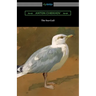 The Sea-Gull