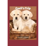 Caeli's Trip
