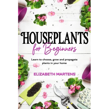 Houseplants for Beginners: Learn to choose, grow and propagate plants in your home