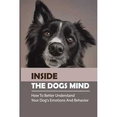 Inside The Dogs Mind: How To Better Understand Your Dog's Emotions And Behavior: What Are Dog Senses