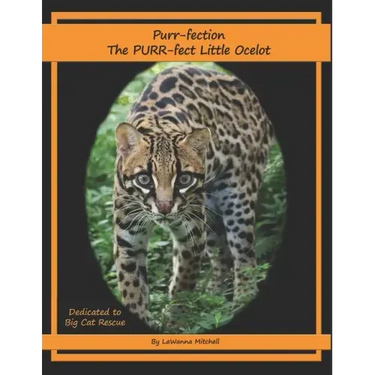 Purr-fection, the PURR-fect Little Ocelot