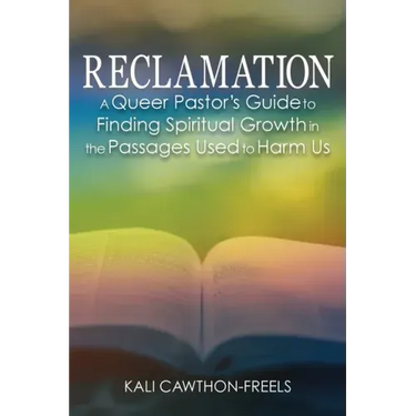 Reclamation: A Queer Pastor's Guide to Finding Spiritual Growth in the Passages Used to Harm Us