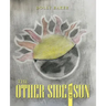 The Other Side of the Sun