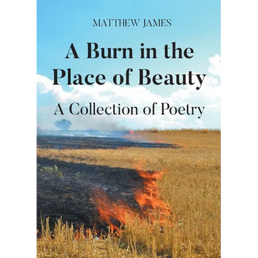A Burn in the Place of Beauty: A Collection of Poetry