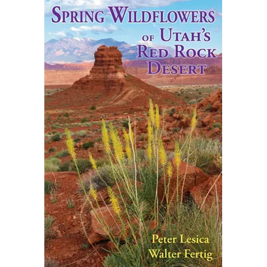 Spring Wildflowers of Utah's Red Rock Desert