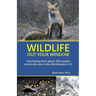 Wildlife Out Your Window: Fascinating Facts About 100 Animals Commonly Seen in the Northeastern U.S.