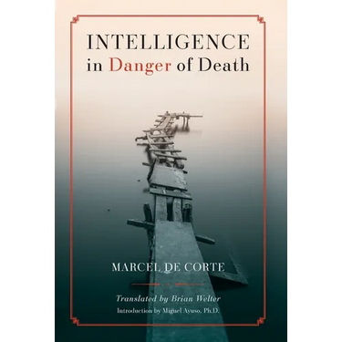 Intelligence in Danger of Death (English edition)
