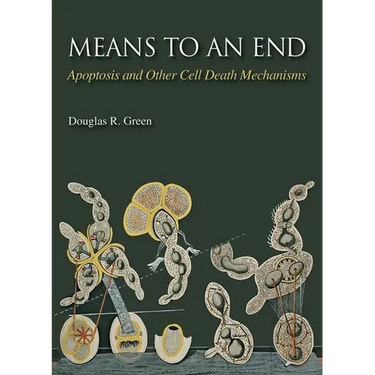 Means to an End: Apoptosis and Other Cell Death Mechanisms