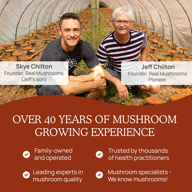 Organic Reishi Mushroom Powder – Bulk Extract by Real Mushrooms