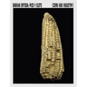 Damián Ortega: Corn and Industry
