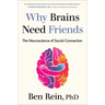 Why Brains Need Friends: The Neuroscience of Social Connection