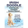 Irish Doodle. Irish Doodle Complete Owners Manual. Irish Doodle book for care, costs, feeding, grooming, health and training.