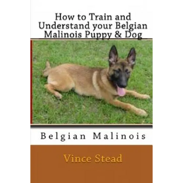 How to Train and Understand Your Belgian Malinois Puppy & Dog