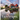 Landscapes, A No Text Picture Book: A Calming Gift for Alzheimer Patients and Senior Citizens Living With Dementia